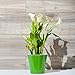 Santino, Self Watering Planter Arte 8.6 Inch Gold/Black, Indoor Flower Pot for All House Plants, Flowers, Herbs, Succulents