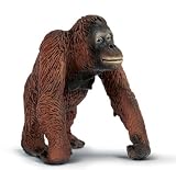 Review SCHLEICH NORTH AMERICA 14306 / Schleich Female Orangutan Figure