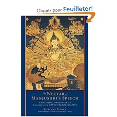 The Nectar of Manjushri's Speech: A Detailed Commentary on Shantideva's Way of the Bodhisattva