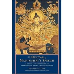The Nectar of Manjushri's Speech: A Detailed Commentary on Shantideva's Way of the Bodhisattva