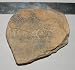 Fossilized Fish Found Near Stockton, Kansas