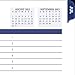 AT-A-GLANCE Weekly/Monthly Pocket Planner/Appointment Book, Collegiate, Academic Year, July 2015-July 2016, 3.75 x 6 Inch Page Size (70-CP03-05)