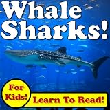 Whale Sharks! Learn About Whale Sharks While Learning To Read - Whale Shark Photos And Facts Make It Easy! (Over 45+ Photos of Whale Sharks)
