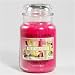 22OZ FRUIT SMOOTHIE YANKEE CANDLE