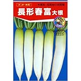 ���`�t�x (�i���g��z) ����:3ml