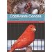 Captivants canaris : Canaris de couleurs, de chants, de postures et fris�s