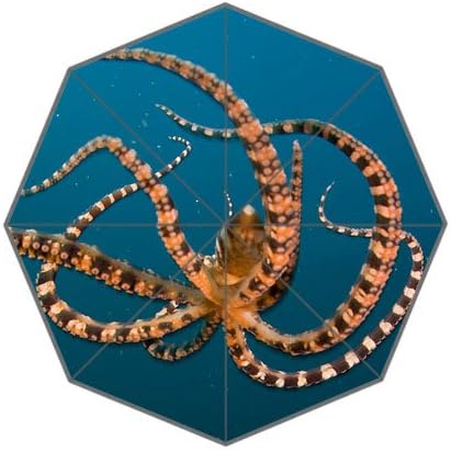 POOKOO! Best Custom Cute Animal Octopus Compact 43.5 Inch Foldable Umbrella, Women Umbrella,Men Umbrella,Travel Umbrella,Children Umbrella!Good gift!