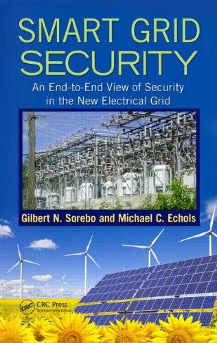 Smart Grid Security: AN End to End View of Wellbeing in the New Electrical Framework