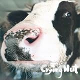 Crying Nut 5集 - The Cow of OK Pasture(韓国盤)
