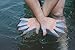 Webetop Mens Eco-friendly Soft Silicone Webbed Swim Gloves Flippers Gear Hand Paddles for Swimming,Surfing,Diving-Increased Water Resistance,Strengthen and Tone Muscles,L Fits Most Men