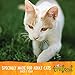 Wellness TruFood Baked Blends Natural Grain Free Dry Cat Food, Chicken, Chicken Liver and Lentils Recipe, 2-Pound Bag