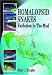 Book Homalopsid Snakes, Evolution in the Mud