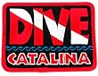 Dive Catalina Patch Embroidered Iron On Scuba Diving Flag Emblem California Souvenir