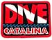 Dive Catalina Patch Embroidered Iron On Scuba Diving Flag Emblem California Souvenir