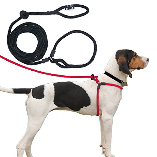 Harness Lead Escape Resistant, Reduces Pull Dog Harness, Medium/Large