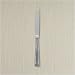 LANDMARK PLATINUM FROSTED PLACE SPOON PS