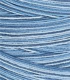 Coats & Clark Star Hand Quilting Thread Variegated