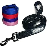 FuzzBunz 6-ft Long High Quality Nylon Dog Leash - Soft Padded Handle - Reflective Stitching for Night Time Safety & Visibility - 100% Money Back Guarantee