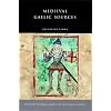 Medieval Gaelic Sources (Maynooth Research Guides for Irish History)