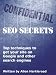 Confidential SEO Secrets - Revised 2009 Edition