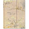 Believe In Yourself Journal (Magnetic Closure) (Notebook, Diary)