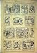 1852 Adverntures Me Verdant Green Oxford Freshman