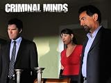 Criminal Minds, Season 6