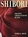 Shibori: Creating Color and Texture on Silk (Crafts Highlights) by Karren Brito