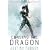 Chasing the Dragon (Quantum Gravity 4)