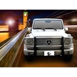 BLACK HORSE 1999-2007 Mercedes G550 G55 AMG W463 SS Modular Grille Guard by BLACK HORSE