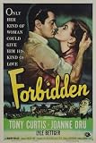 Poster - Forbidden - Movie Poster/ Plakat - 28x44cm von Forbidden