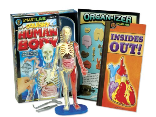Smart Lab Squishy You Explore It Human Body