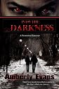 Into the Darkness (A Paranormal Romance)