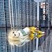 Kim Young-Hee: Sculpture 2D - Very Korean. Very European. Very Universal bei Bücher zum Namen: 51Qcf8KnDAL._SL75_