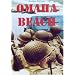 Omaha Beach: 6/6/1944