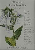 Nicotiana Seeds Indian Peace Pipe Heirloom Seeds 300 Seeds