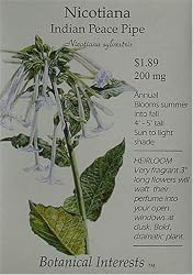 Nicotiana Seeds Indian Peace Pipe Heirloom Seeds 300 Seeds