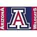 BSI Arizona Wildcats Premium 3x5 Flag