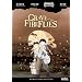 Grave of the Fireflies