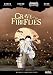 Grave-of-the-Fireflies