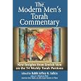 The Modern Men's Torah Commentary: New Insights from Jewish Men on the 54 Weekly Torah Portions