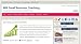 WM Small Business Coaching