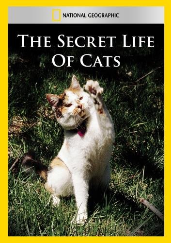 The Secret Life of Cats