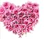 Pocket Guide To Love - Witty And Insightful Advice On Finding A Great Man -