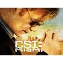 CSI: Miami Season 7