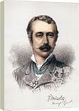 Garnet Joseph Wolseley, Viscount Wolseley, Irish-born British soldier, c1880. - 16 Inch Canvas Print (40cm) by Heritage-Images