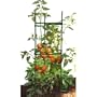 Gardener's Blue Ribbon Stake it Easy Plant Staking System STEZ1