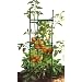 Gardener's Blue Ribbon STEZ1 Stake-It-Easy Plant-Staking System