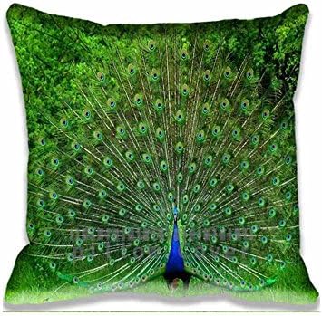 Prited Pattern Peacock Bird Zipper Pillowcase for Travel Pillow , Comforter animals Cushion Cover Fantasy Throw Pillow Case