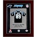 Steve (Stevonne) Smith #89 Carolina Panthers NFL Limited Edition Rookie Year Original Mini Jersey Framed 13x16